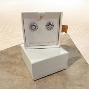 Elegant Silver Floral Earrings